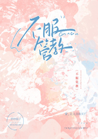 司机先生